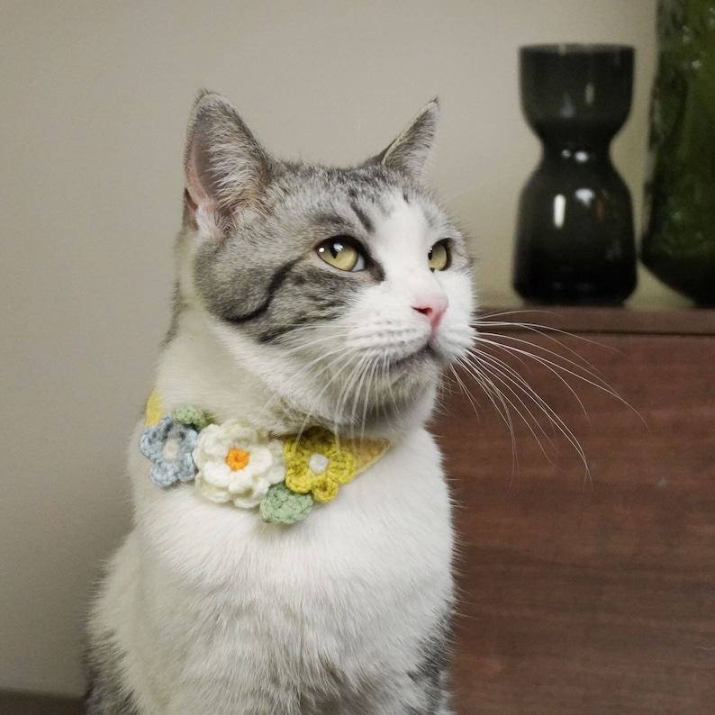 May include: A white and gray cat wearing a crocheted flower collar with yellow, green, and white flowers.