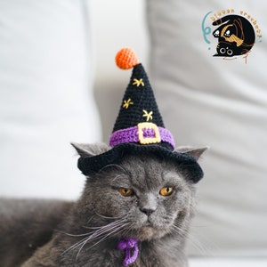 Puede incluir: Un gato gris con un sombrero de bruja negro y morado con una hebilla amarilla y un pomp&oacute;n naranja. El sombrero est&aacute; tejido a crochet y tiene estrellas bordadas.