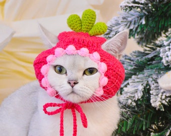 Adorable Pink Carrot Pet Hat for Festive Furry Friends