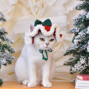 May include: A white cat wearing a red and green knitted Santa hat with a green bow. The cat is sitting on a wooden surface in front of a white background with a snowy Christmas tree on the right.