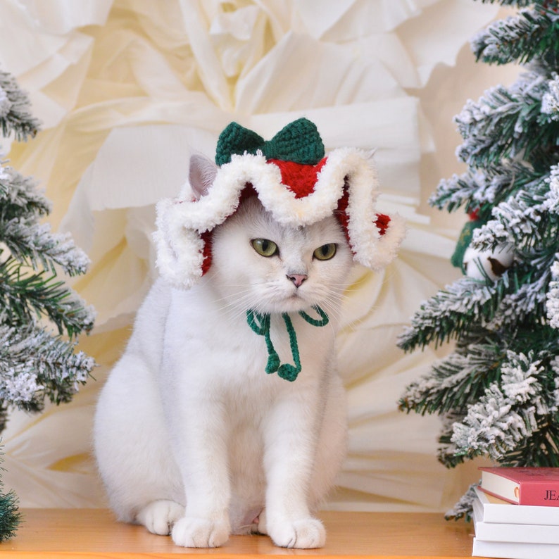 May include: A white cat wearing a red and green knitted Santa hat with a green bow. The cat is sitting on a wooden surface in front of a white background with a snowy Christmas tree on the right.