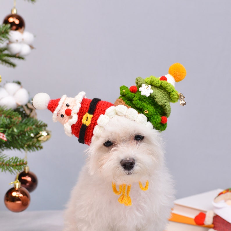 Merry Paws and Playful Whiskers: The Jolly Clown Christmas Pet Hat image 2