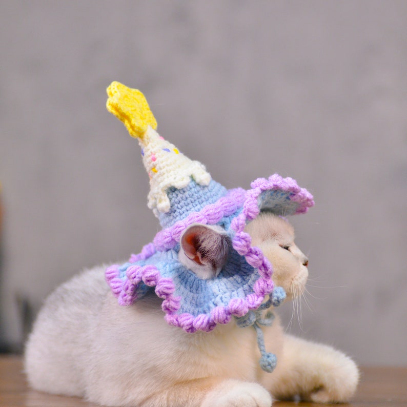 Chapeau d'anniversaire pour animal de compagnie violet crème glacée lunatique image 9