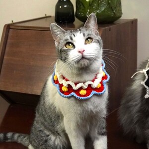 May include: A gray and white cat wearing a colorful crocheted collar with red, yellow, and blue accents. The cat is sitting on a wooden surface.