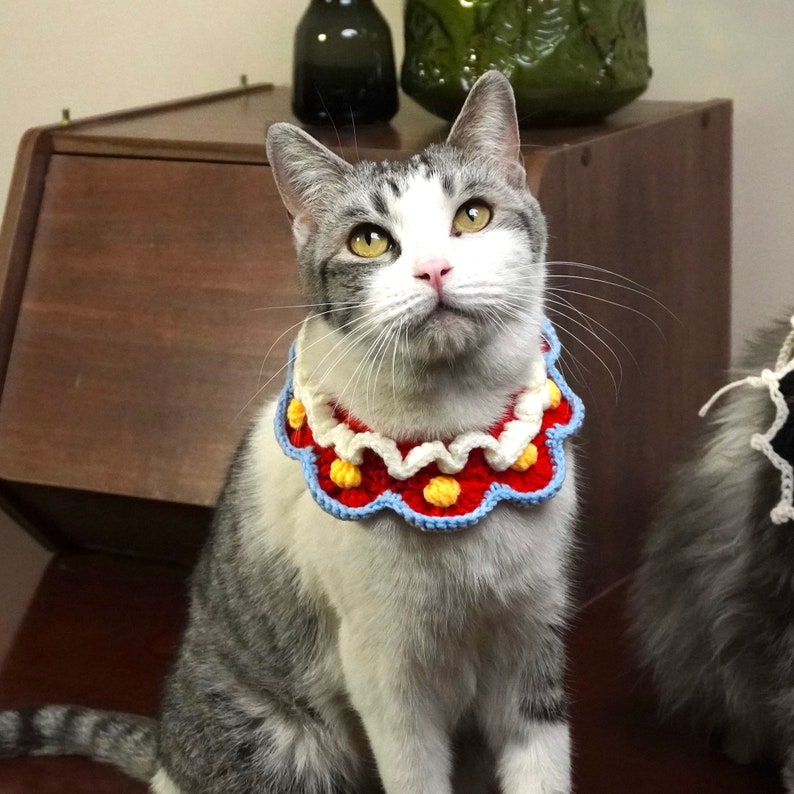 May include: A gray and white cat wearing a colorful crocheted collar with red, yellow, and blue accents. The cat is sitting on a wooden surface.