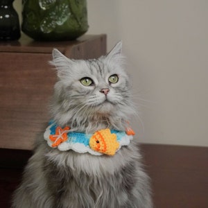 May include: A gray and white cat wearing a crocheted collar with a blue, white, and orange fish design. The cat is looking up and has a fluffy coat.