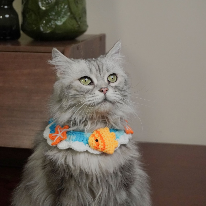 May include: A gray and white cat wearing a crocheted collar with a blue, white, and orange fish design. The cat is looking up and has a fluffy coat.