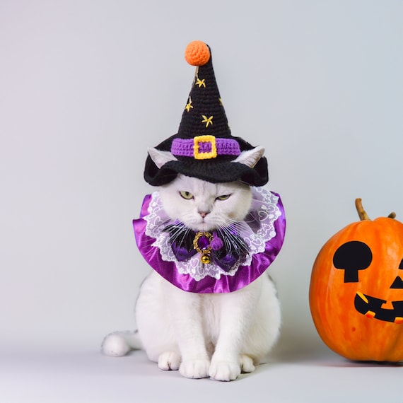 Enchanting Christmas Pet Costume Set - Witch Hat and Purple Queen CollarCat Hat Halloween|Cat Hat Halloween|Knit Cat Hats