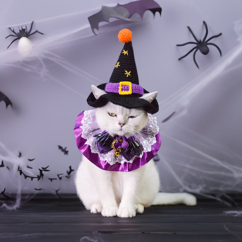 Puede incluir: Un gato blanco con un disfraz de bruja morado y negro con un sombrero puntiagudo y un lazo. El gato est&aacute; sentado en una superficie oscura con un fondo de telara&ntilde;a.