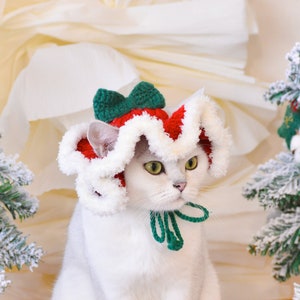 May include: A white cat wearing a red and green knitted Christmas hat with a white fur trim. The hat has a green bow on top.
