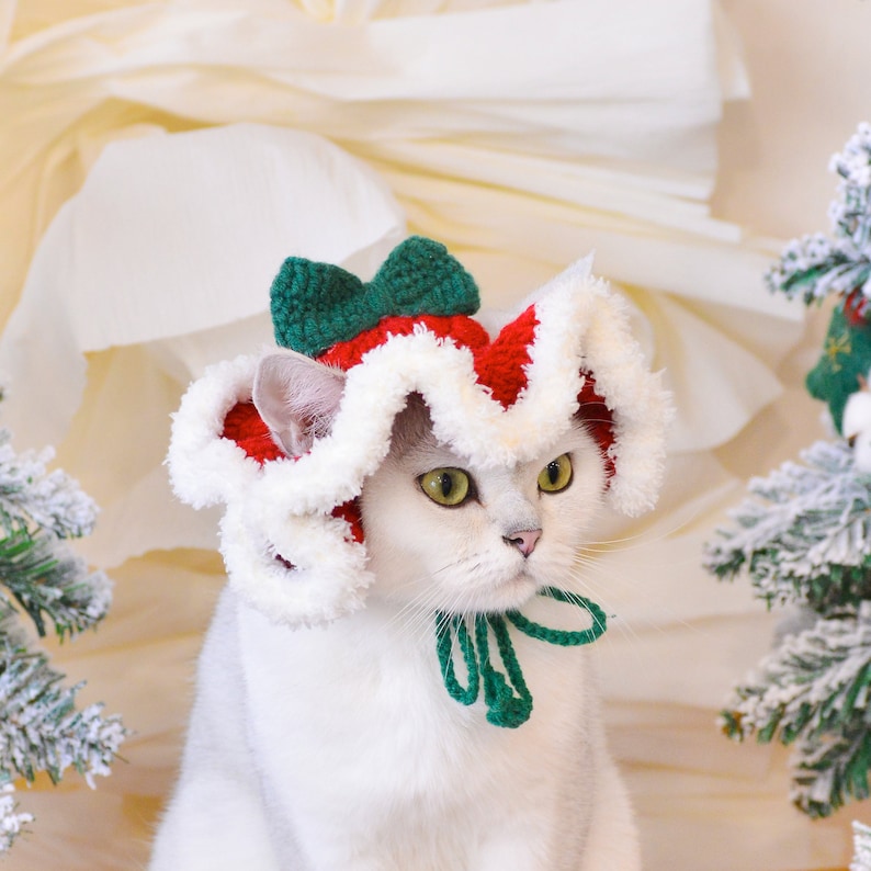 May include: A white cat wearing a red and green knitted Christmas hat with a white fur trim. The hat has a green bow on top.