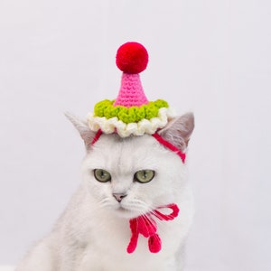 May include: A white cat wearing a pink and green crocheted party hat with a red pom-pom on top. The cat is wearing a pink bow around its neck.
