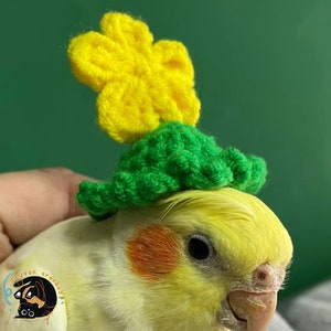 crochet hat for Parrot or bird, Crochet frog Hat, Crochet rabbit hat, crochet bear hat, bird accessoriesHamster hatGerbil hatRodent hat image 3