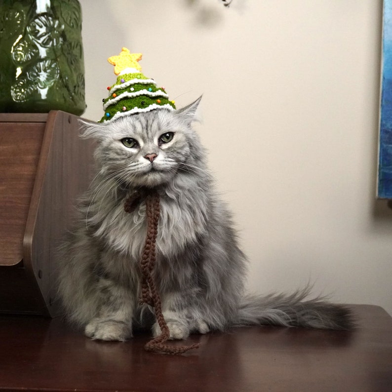 Puede incluir: Un gato gris con un gorro de &aacute;rbol de Navidad de punto verde y amarillo. El gato est&aacute; sentado sobre una superficie de madera marr&oacute;n.