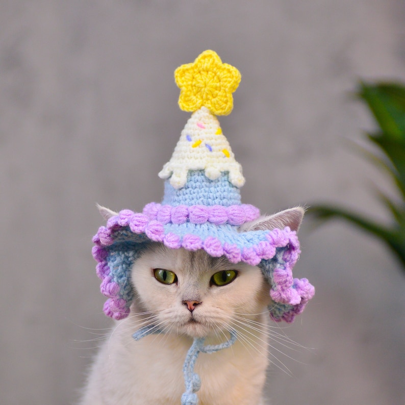 Chapeau d'anniversaire pour animal de compagnie violet crème glacée lunatique Violet