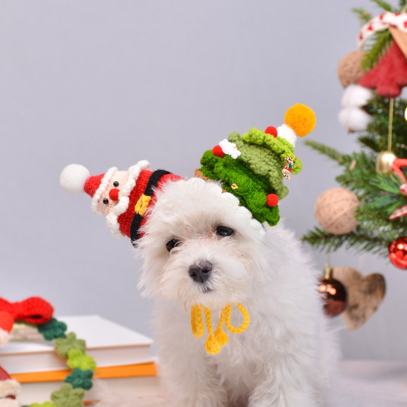 Merry Paws and Playful Whiskers: The Jolly Clown Christmas Pet Hat image 3