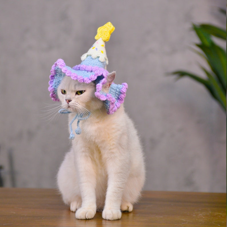 Chapeau d'anniversaire pour animal de compagnie violet crème glacée lunatique image 7