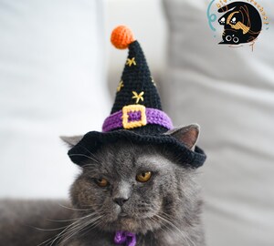 Ailes De Chauve-souris Pour Chat - Déguisement Halloween Cosplay - En Feutre Doux, Ajustable