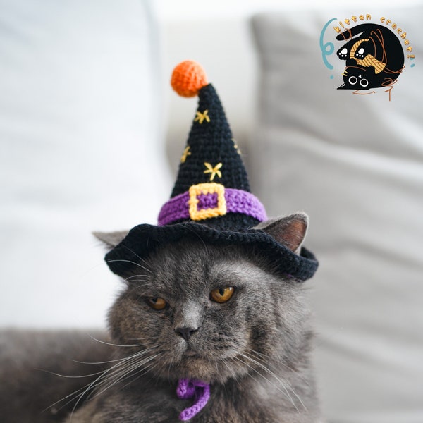 A cat wearing a crochet witches hat.