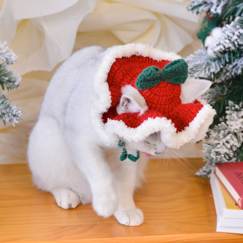 May include: A white cat wearing a red and white crocheted Santa hat with a green bow. The cat is sitting on a wooden surface.