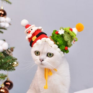 Merry Paws and Playful Whiskers: The Jolly Clown Christmas Pet Hat!