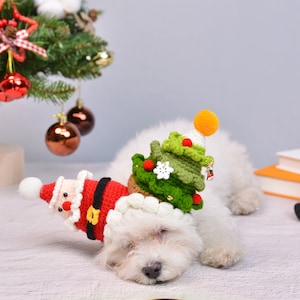 Merry Paws and Playful Whiskers: The Jolly Clown Christmas Pet Hat image 9