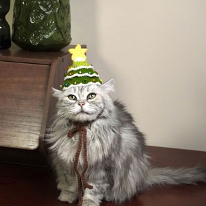 Puede incluir: Un gato gris y blanco con un gorro de &aacute;rbol de Navidad de punto verde y amarillo con una cinta marr&oacute;n alrededor del cuello.