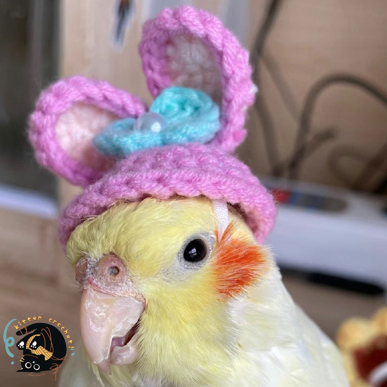 crochet hat for Parrot or bird, Crochet frog Hat, Crochet rabbit hat, crochet bear hat, bird accessoriesHamster hatGerbil hatRodent hat Bunny hat-3