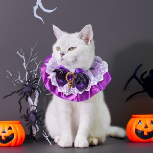 Puede incluir: Un gato blanco con un collar de encaje morado y blanco con un murci&eacute;lago negro y detalles de joyas. El gato est&aacute; sentado sobre un fondo gris con una rama blanca con ara&ntilde;as negras y dos calabazas naranjas en forma de jack-o'-lantern.