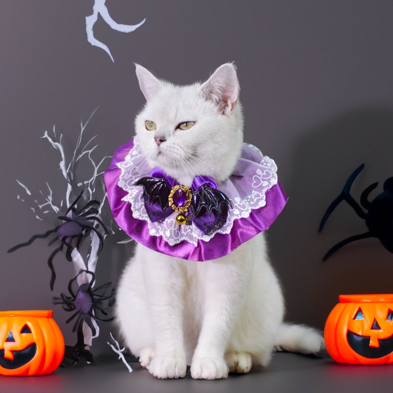 Puede incluir: Un gato blanco con un collar de encaje morado y blanco con un murci&eacute;lago negro y detalles de joyas. El gato est&aacute; sentado sobre un fondo gris con una rama blanca con ara&ntilde;as negras y dos calabazas naranjas en forma de jack-o'-lantern.
