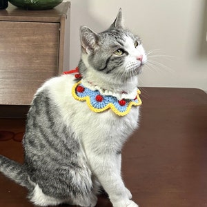 May include: A gray and white cat wearing a crocheted collar with red, blue, and yellow accents. The collar has a scalloped edge and is decorated with small, round, red pom-poms.