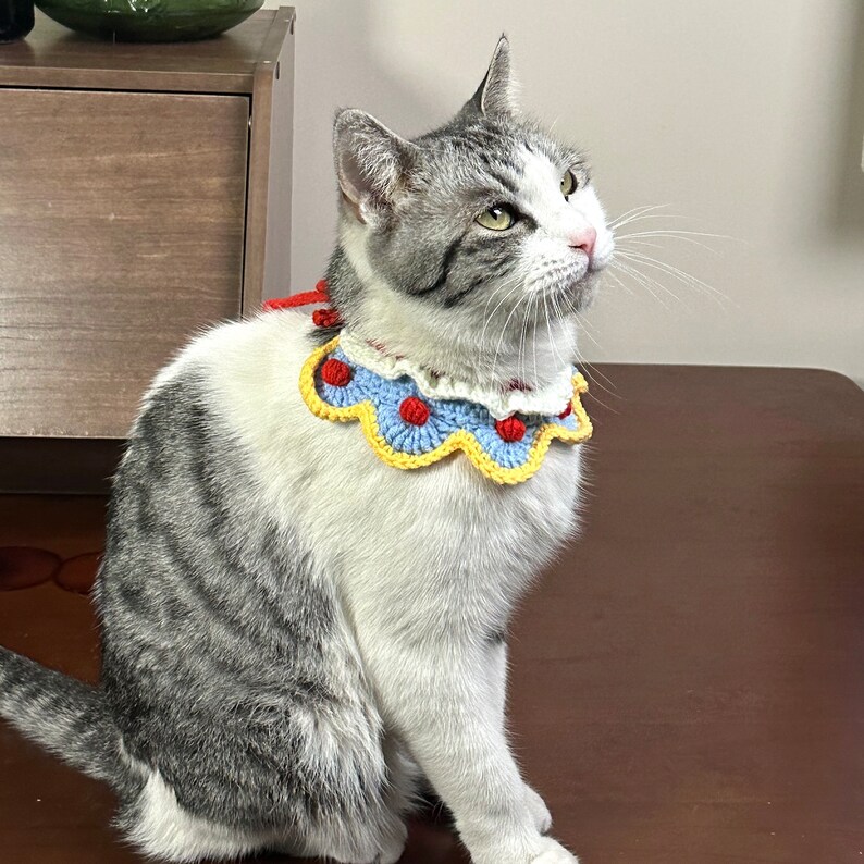 May include: A gray and white cat wearing a crocheted collar with red, blue, and yellow accents. The collar has a scalloped edge and is decorated with small, round, red pom-poms.