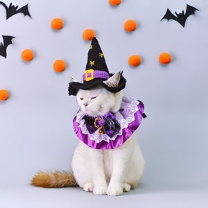 Puede incluir: Un gato blanco con un disfraz de bruja morado y negro con un sombrero negro puntiagudo. El gato est&aacute; sentado sobre un fondo gris claro con decoraciones naranjas y negras.