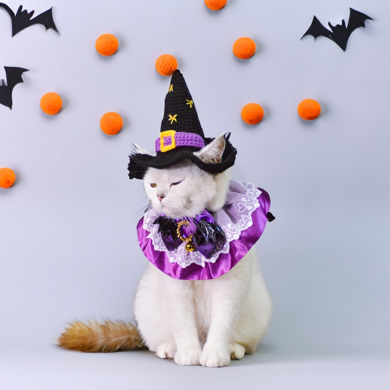 Puede incluir: Un gato blanco con un disfraz de bruja morado y negro con un sombrero negro puntiagudo. El gato est&aacute; sentado sobre un fondo gris claro con decoraciones naranjas y negras.