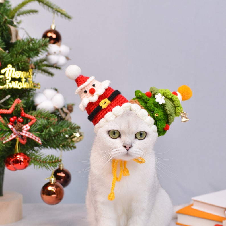 Merry Paws and Playful Whiskers: The Jolly Clown Christmas Pet Hat Christmas hat