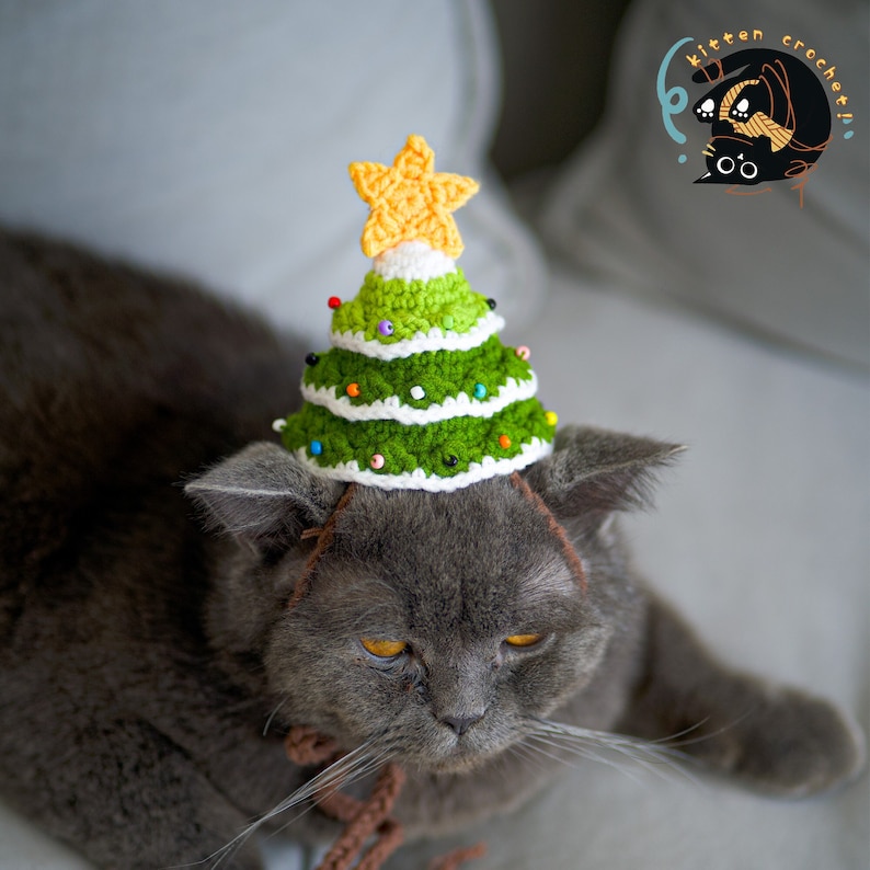 Puede incluir: Un gato gris con un gorro de &aacute;rbol de Navidad de crochet verde y blanco con una estrella amarilla en la parte superior. El gorro est&aacute; decorado con cuentas de colores.