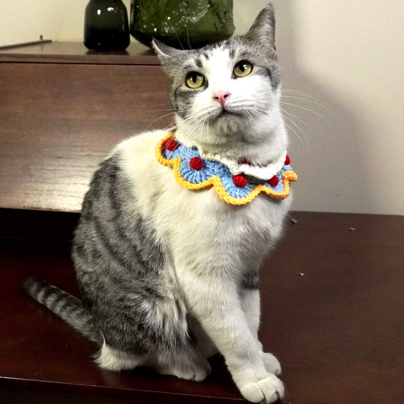 May include: A white and gray tabby cat wearing a crocheted collar with red, blue, and yellow accents. The collar has a scalloped edge and is decorated with small pom-poms.