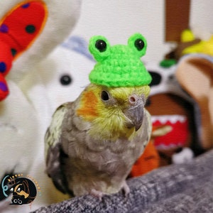 crochet hat for Parrot or bird, Crochet frog Hat, Crochet rabbit hat, crochet bear hat, bird accessoriesHamster hatGerbil hatRodent hat Frog hat-2