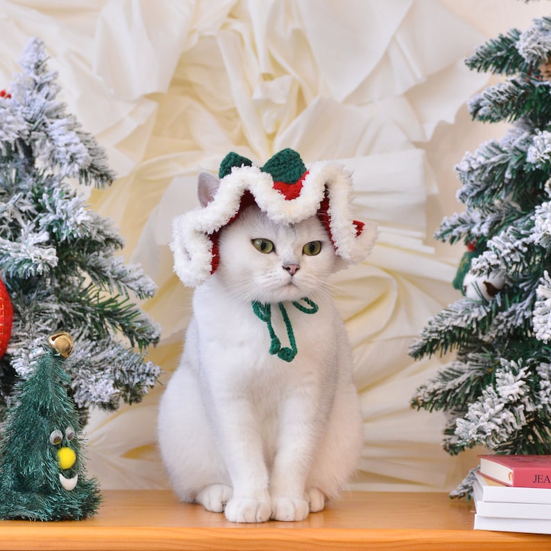 May include: A white cat wearing a red and green crocheted Santa hat with a green bow. The cat is sitting on a wooden surface in front of two small Christmas trees.