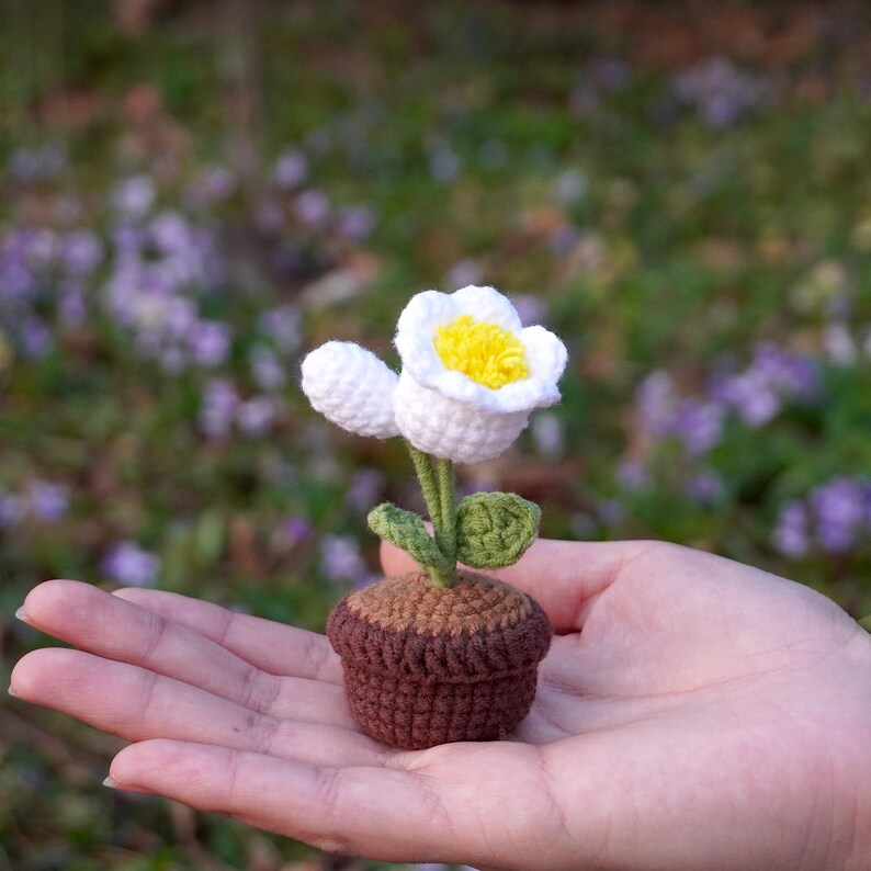 Op de afbeelding: Een klein wit gehaakt bloemetje met een geel hartje in een bruin gehaakt potje. Het bloemetje wordt in de hand van iemand gehouden.