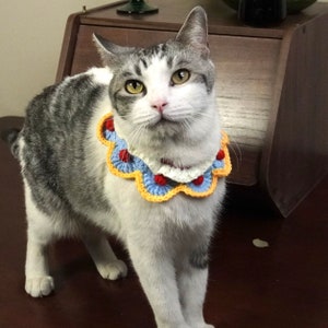 May include: A gray and white cat wearing a colorful crocheted collar with red, blue, yellow, and white accents. The cat is standing on a wooden surface.