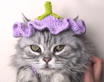 Chapeau de fleur chapeau au crochet pour chat ou petit chien Crochet aubergine Chapeau Modèle pour chats et chiens vêtements pour chats accessoires pour chats