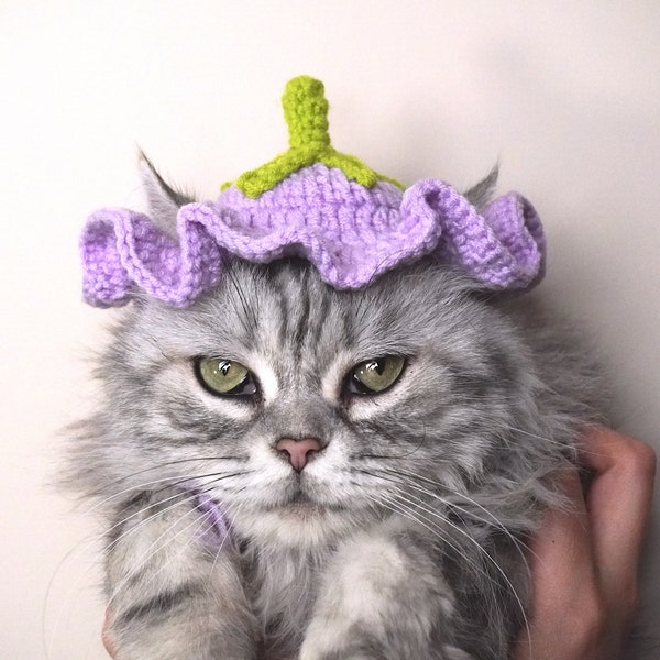 Chapeau de fleur chapeau au crochet pour chat ou petit chien Crochet aubergine Chapeau Modèle pour chats et chiens vêtements pour chats accessoires pour chats