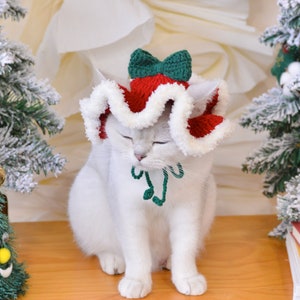 May include: A white cat wearing a red and white knitted Santa hat with a green bow. The cat is sitting on a wooden surface with a Christmas tree in the background.