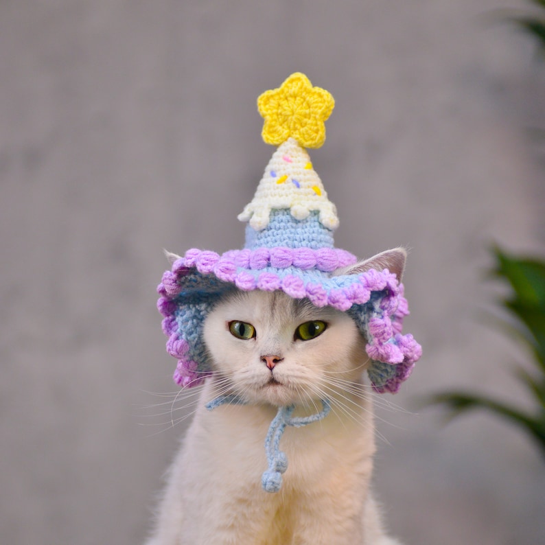 Chapeau d'anniversaire pour animal de compagnie violet crème glacée lunatique image 4