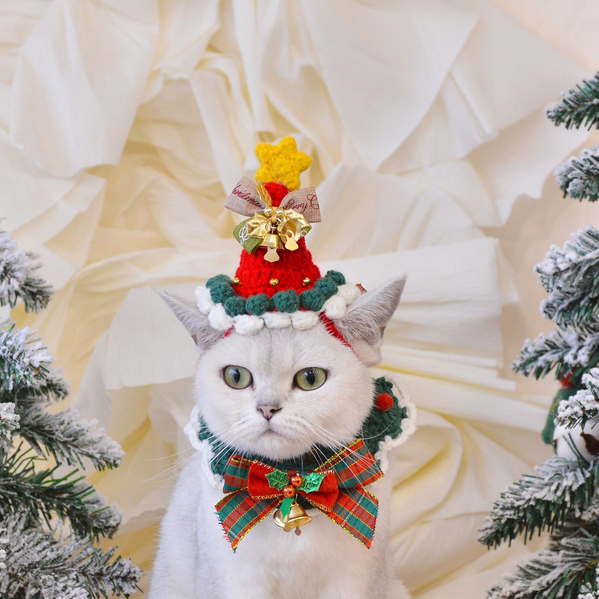 "Whisker Wonderland : La Collection de Vêtements de Noël Parfaits pour les Animaux de Companie : Un Ronronnement Idéal pour les Fêtes" or "Whisker Wonderland : Collection de Vêtements de Noël Pour Animaux : Une Ronronnerie Parfaite pour les Fêtes"

This title translates to "Whisker Wonderland: The Perfect Winter Outfits Collection for Companion Animals: A Perfect Purring for the Holidays" or "Whisker Wonderland: Collection of Winter Outfits for Animals: A Perfect Purring for the Holidays."