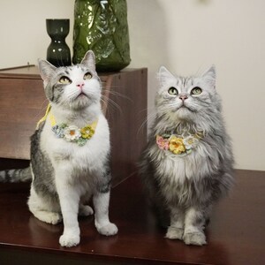 May include: Two cats wearing crocheted flower collars. The cat on the left is white with gray markings and has yellow flowers on its collar. The cat on the right is gray and has yellow, pink, and orange flowers on its collar.