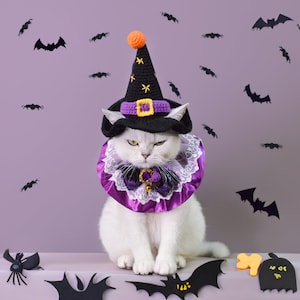Puede incluir: Un gato blanco con un sombrero de bruja negro con un cuello de volantes morado y blanco. El gato est&aacute; sentado sobre un fondo morado con murci&eacute;lagos negros esparcidos alrededor.