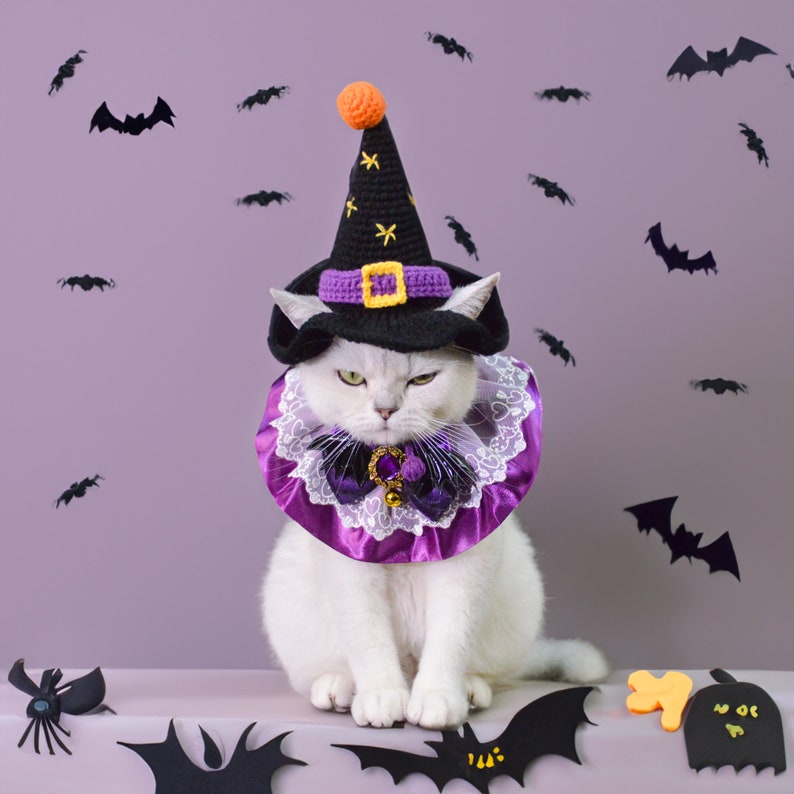 Puede incluir: Un gato blanco con un sombrero de bruja negro con un cuello de volantes morado y blanco. El gato est&aacute; sentado sobre un fondo morado con murci&eacute;lagos negros esparcidos alrededor.