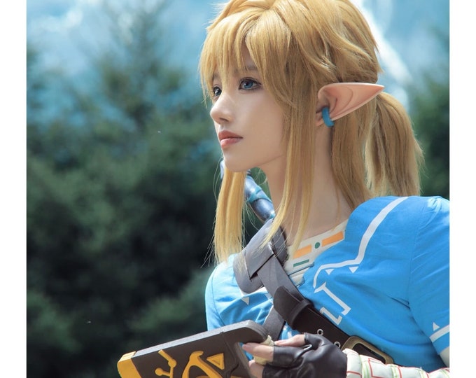 Legend of Zelda Breath of the Wild LINK Cosplay Wig - Etsy